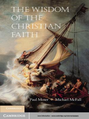 Cover of the book The Wisdom of the Christian Faith by Nicole Dombrowski Risser