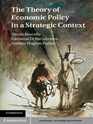 Book cover of The Theory of Economic Policy in a Strategic Context
