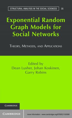 Cover of the book Exponential Random Graph Models for Social Networks by Ittai Weinryb