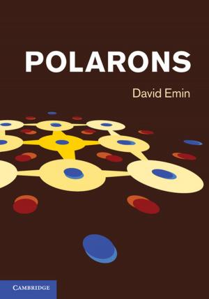 Cover of the book Polarons by Professor Mauro F. Guillén, Professor Emilio Ontiveros