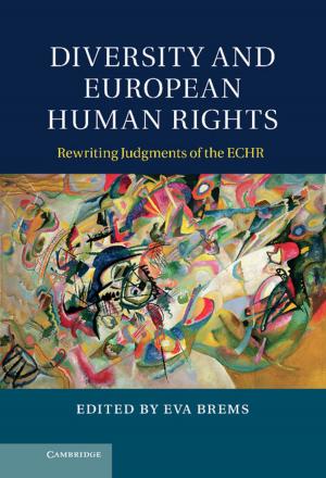 Cover of the book Diversity and European Human Rights by Reinhard Schertz