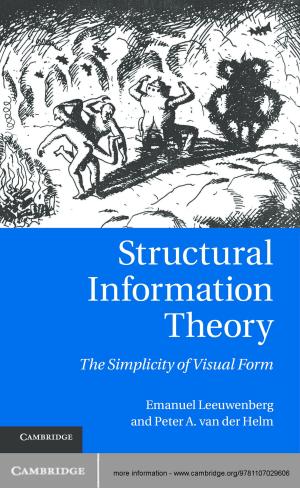 Cover of the book Structural Information Theory by Avinoam Mann