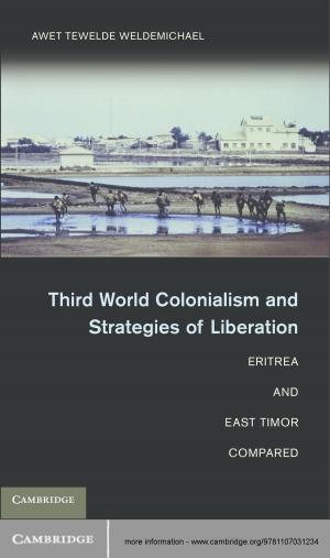 Cover of the book Third World Colonialism and Strategies of Liberation by Anthony F. Molland, Professor Stephen R. Turnock, Dominic A. Hudson