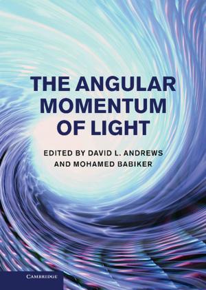 Cover of the book The Angular Momentum of Light by Steve Stewart-Williams