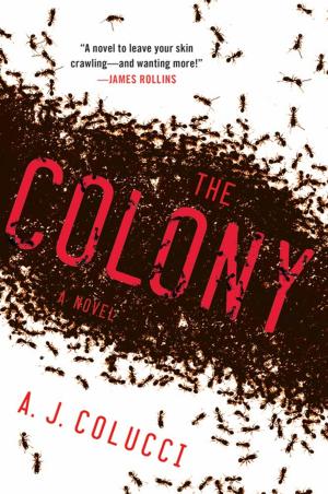 Cover of the book The Colony by Cath Staincliffe, Martin Edwards
