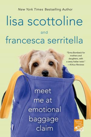 Cover of the book Meet Me at Emotional Baggage Claim by Donna Hill