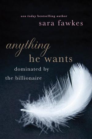 Cover of the book Anything He Wants by Charles Martin