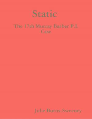 Book cover of Static : The 17th Murray Barber P.I. Case