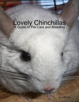 Book cover of Lovely Chinchillas: A Guide to Pet Care and Breeding