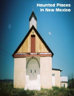 Cover of the book Haunted Places In New Mexico by Kerri Perisich, Jalene Case