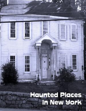Cover of the book Haunted Places In New York by Kristy Clark