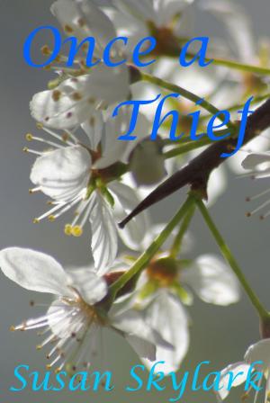 Cover of the book Once a Thief by Kimber Grey