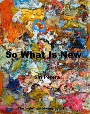 Cover of the book So What Is New by Liliana   Martínez