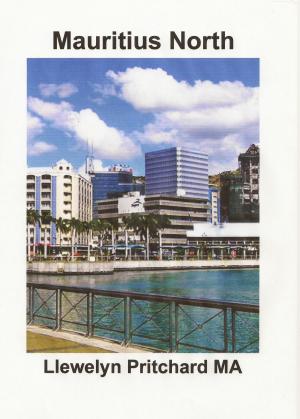 Book cover of Mauritius North Port Louis, Pamplemousses and Riviere du Rempart