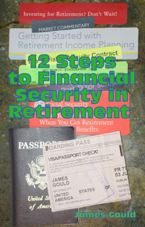 Cover of the book 12 Steps to Financial Security in Retirement by Elizabeth Huff
