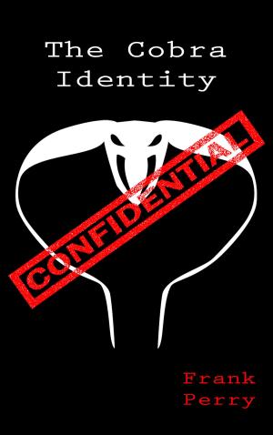 Book cover of The Cobra Identity