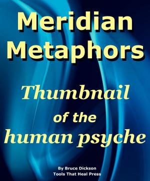 Cover of the book Meridian Metaphors: Thumbnail of the Human Psyche by Dana Brown Smith