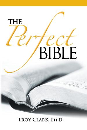Cover of the book The Perfect Bible by Dan Kelly