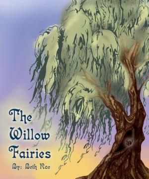 Cover of the book The Willow Fairies by M. R. Holman