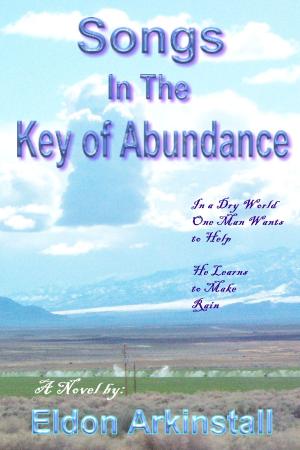 Book cover of Songs in the Key of Abundance