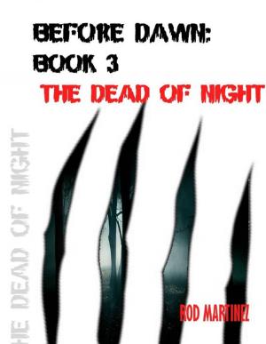 Cover of the book Before Dawn Book 3: The Dead of Night by Denise Jaden