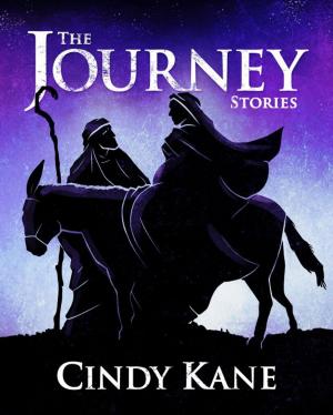 Cover of the book The Journey Stories by Michelle Brown, David M. F. Powers