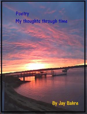 Book cover of Poetry My Thoughts In Time
