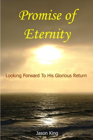 Book cover of Promise of Eternity