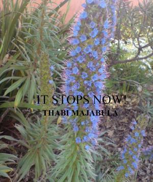 Cover of the book It Stops Now! by Thabi Majabula