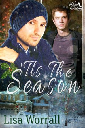 Cover of the book 'Tis the Season by Lisa Worrall