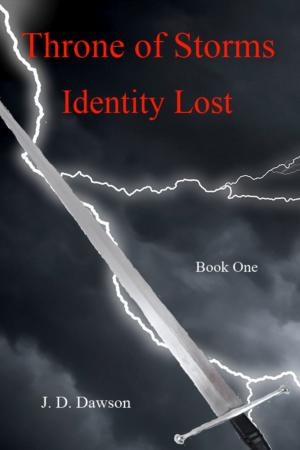 Cover of the book Throne of Storms: Identity Lost by Kevin Gordon