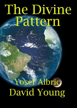 Book cover of The Divine Pattern