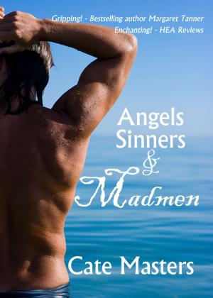 Cover of the book Angels, Sinners and Madmen by J R Tomlin