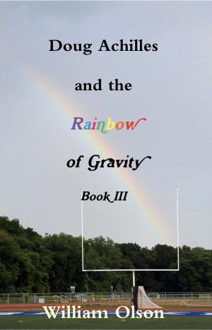 Cover of the book Doug Achilles and the Rainbow of Gravity by Robert J. Smith