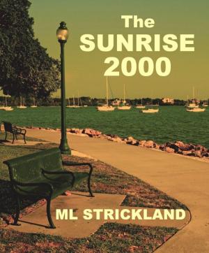 Cover of the book The Sunrise 2000 by JC Quinn
