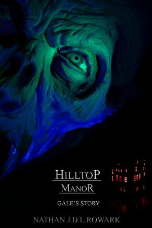 Cover of the book Hilltop Manor by Shane DeMink, Ginny Bowman