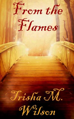 Cover of the book From The Flames by Philippa Ballantine