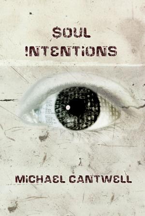 Book cover of Soul Intentions