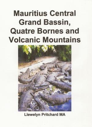 Book cover of Mauritius Central Grand Bassin, Quatre Bornes and Volcanic Mountains