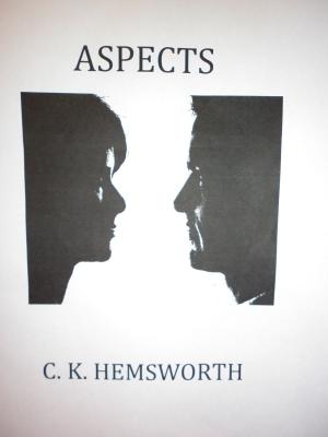 Cover of the book Aspects by Shaun Rouser