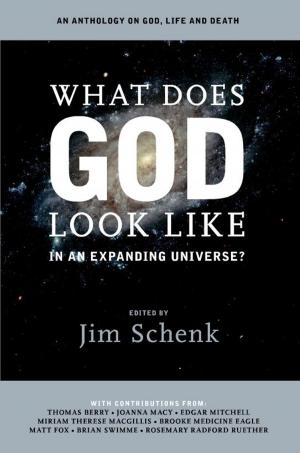 Cover of What Does God Look Like in an Expanding Universe?