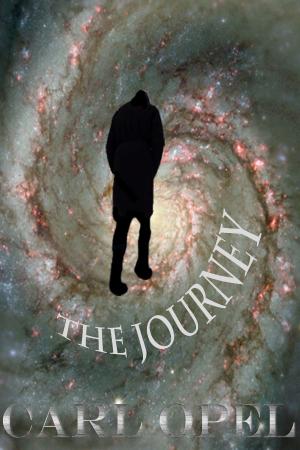 Cover of the book The Journey by Tracey Lee Hoy