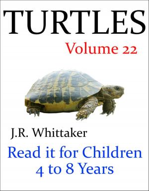 Book cover of Turtles (Read it book for Children 4 to 8 years)