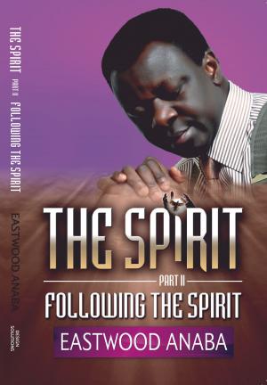 Cover of the book Following The Spirit by George Calleja