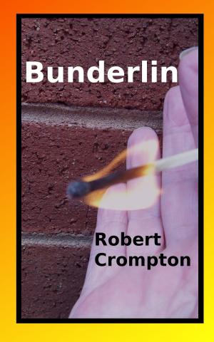 Cover of the book Bunderlin by Ross Thomas