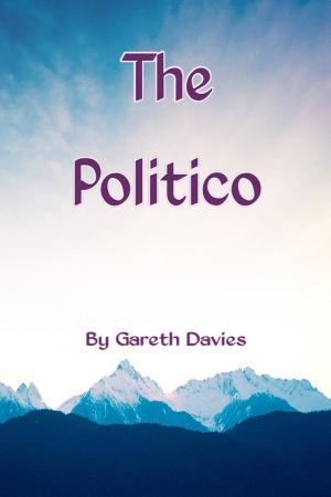 Book cover of The Politico