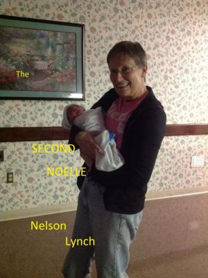 Cover of the book The Second Noelle by Nelson Lynch