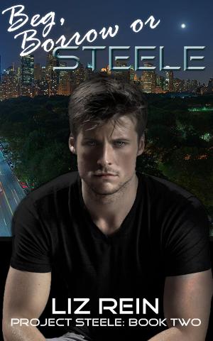 Cover of the book Beg, Borrow or STEELE (Project STEELE: Book Two) by Matt Stanton