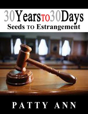 Cover of the book 30 Years to 30 Days: Seeds to Estrangement by Joseph Cordell