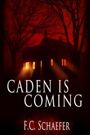 Cover of the book Caden is Coming by Melissa Szydlek